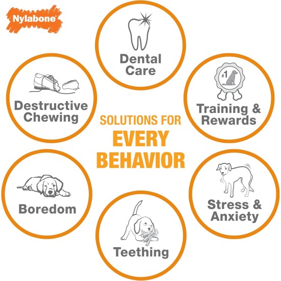 Nylabone 984654 Fillable Natural Rubber Chew Toy for Dogs, Bacon Flavour, Interactive Chew Toy, Hunting & Fetching, Suitable for Small Dogs (up to 11 kg), S Nylabone 984654 Fillable Natural Rubber Chew Toy for Dogs, Bacon Flavour, Interactive Chew Toy, Hunting & Fetching, Suitable for Small Dogs (up to 11 kg), S