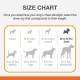 Nylabone 984654 Fillable Natural Rubber Chew Toy for Dogs, Bacon Flavour, Interactive Chew Toy, Hunting & Fetching, Suitable for Small Dogs (up to 11 kg), S