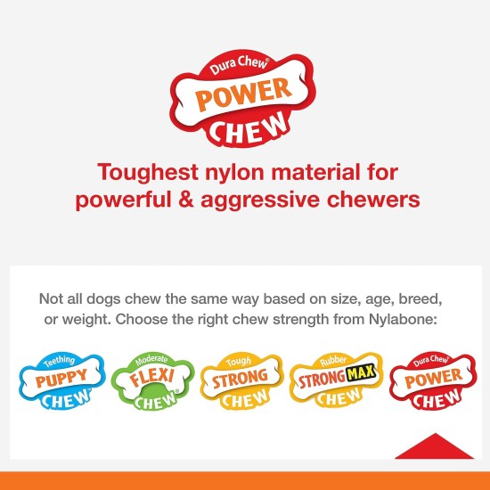 Nylabone 984654 Fillable Natural Rubber Chew Toy for Dogs, Bacon Flavour, Interactive Chew Toy, Hunting & Fetching, Suitable for Small Dogs (up to 11 kg), S Nylabone 984654 Fillable Natural Rubber Chew Toy for Dogs, Bacon Flavour, Interactive Chew Toy, Hunting & Fetching, Suitable for Small Dogs (up to 11 kg), S