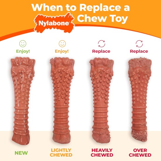 Nylabone 984718EU Fork Dog Bone, Bison Flavour, Chew Bone for Strong Chewing Dogs for Dogs up to 11 kg, S Nylabone 984718EU Fork Dog Bone, Bison Flavour, Chew Bone for Strong Chewing Dogs for Dogs up to 11 kg, S