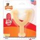 Nylabone 984718EU Fork Dog Bone, Bison Flavour, Chew Bone for Strong Chewing Dogs for Dogs up to 11 kg, S