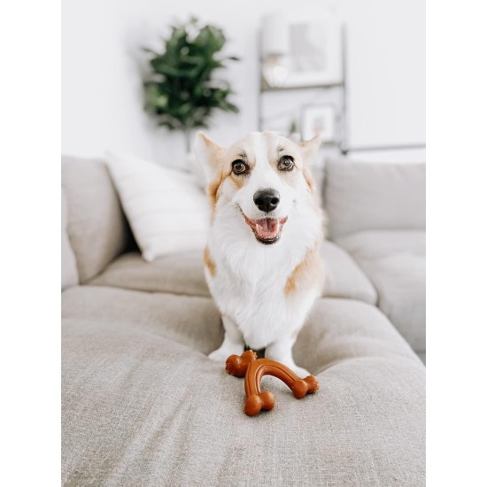 Nylabone 984719EU Fork Dog Bone, Bison Flavour, Chew Bone for Strong Chewing Dogs for Dogs, Large, up to 23 kg, L Nylabone 984719EU Fork Dog Bone, Bison Flavour, Chew Bone for Strong Chewing Dogs for Dogs, Large, up to 23 kg, L