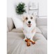 Nylabone 984719EU Fork Dog Bone, Bison Flavour, Chew Bone for Strong Chewing Dogs for Dogs, Large, up to 23 kg, L Nylabone 984719EU Fork Dog Bone, Bison Flavour, Chew Bone for Strong Chewing Dogs for Dogs, Large, up to 23 kg, L