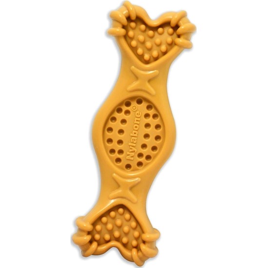 Nylabone 984720EU Dog Bone for Filling with Treats, Peanut Butter Flavour, Chew Bone for Strong Chewing Dogs for Dogs up to 16 kg Nylabone 984720EU Dog Bone for Filling with Treats, Peanut Butter Flavour, Chew Bone for Strong Chewing Dogs for Dogs up to 16 kg