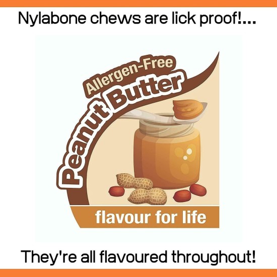 Nylabone 984720EU Dog Bone for Filling with Treats, Peanut Butter Flavour, Chew Bone for Strong Chewing Dogs for Dogs up to 16 kg Nylabone 984720EU Dog Bone for Filling with Treats, Peanut Butter Flavour, Chew Bone for Strong Chewing Dogs for Dogs up to 16 kg