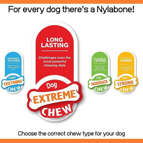 Nylabone 984720EU Dog Bone for Filling with Treats, Peanut Butter Flavour, Chew Bone for Strong Chewing Dogs for Dogs up to 16 kg Nylabone 984720EU Dog Bone for Filling with Treats, Peanut Butter Flavour, Chew Bone for Strong Chewing Dogs for Dogs up to 16 kg
