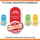 Nylabone 984720EU Dog Bone for Filling with Treats, Peanut Butter Flavour, Chew Bone for Strong Chewing Dogs for Dogs up to 16 kg Nylabone 984720EU Dog Bone for Filling with Treats, Peanut Butter Flavour, Chew Bone for Strong Chewing Dogs for Dogs up to 16 kg
