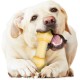 Nylabone 984722EU Dog Knot Bone, Rawhide Alternative, Cheese and Bacon Flavour, Chew Bone for Strong Chewing Dogs for Dogs up to 23 kg Nylabone 984722EU Dog Knot Bone, Rawhide Alternative, Cheese and Bacon Flavour, Chew Bone for Strong Chewing Dogs for Dogs up to 23 kg