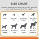 Nylabone 985006 Dog Bones for Dental Care for Energetic Chewing Dogs, Ring-shaped, Various Meat Flavours, Multiple Textures and Easy to Hold, Size XS - for Dogs up to 7 kg