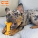 Nylabone. Nylabone.