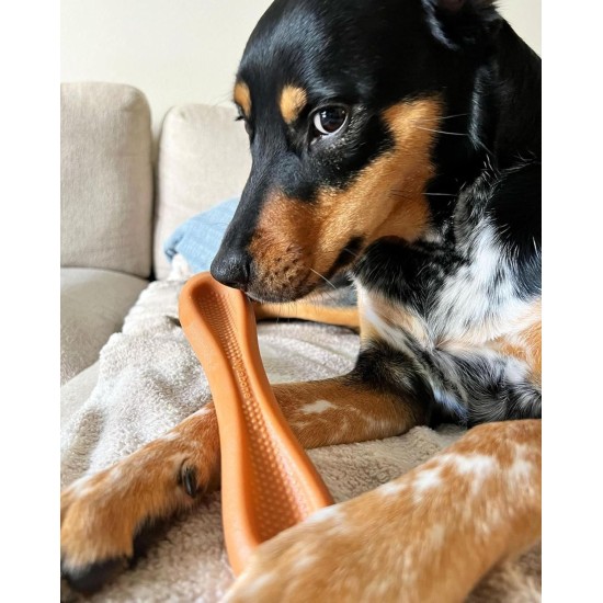 Nylabone. Nylabone.