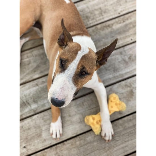 Nylabone. Nylabone.