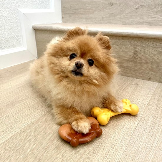 Nylabone. Nylabone.