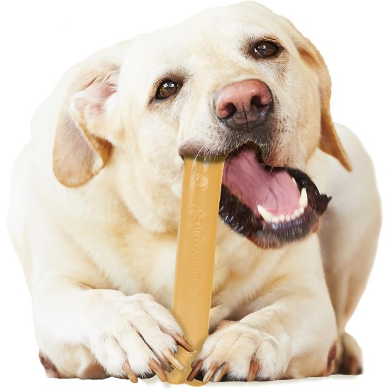 Nylabone Bacon Bone Dog Chew Souper Nylabone Bacon Bone Dog Chew Souper