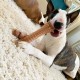 Nylabone Bacon Bone Dog Chew Souper Nylabone Bacon Bone Dog Chew Souper