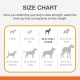 Nylabone Dog Value Pack, Small Nylabone Dog Value Pack, Small