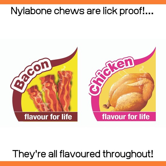 Nylabone Dog Value Pack, Small Nylabone Dog Value Pack, Small