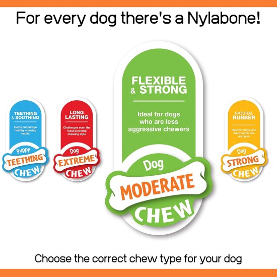 Nylabone Dog Value Pack, Small Nylabone Dog Value Pack, Small