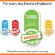 Nylabone Dog Value Pack, Small Nylabone Dog Value Pack, Small