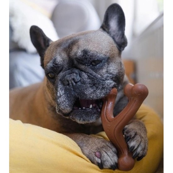 Nylabone Dura Chew Double Bend, Petite Nylabone Dura Chew Double Bend, Petite