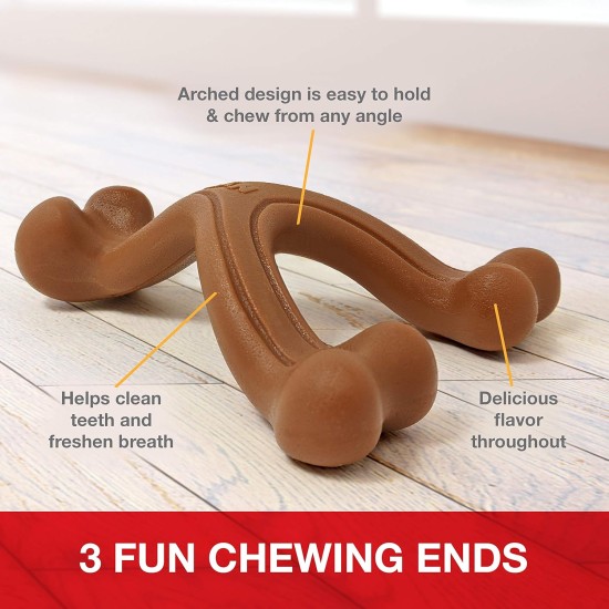 Nylabone Dura Chew Double Bend, Petite Nylabone Dura Chew Double Bend, Petite