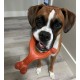 Nylabone Dura Chew Double Bend, Petite Nylabone Dura Chew Double Bend, Petite