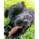 Nylabone Dura Chew Plus Medley, Small Nylabone Dura Chew Plus Medley, Small