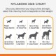 Nylabone Dura Chew Plus Medley, Small Nylabone Dura Chew Plus Medley, Small