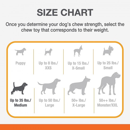 Nylabone Dura Chew Plus Medley, Small Nylabone Dura Chew Plus Medley, Small