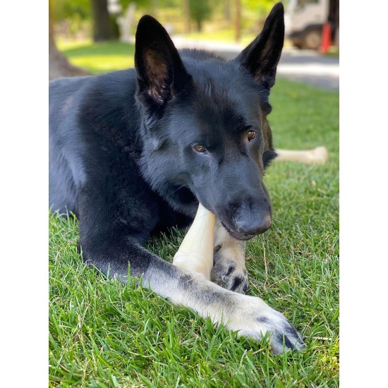 Nylabone Dura Chicken Chew, Large Nylabone Dura Chicken Chew, Large