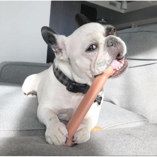Nylabone Dura Chicken Chew, Large Nylabone Dura Chicken Chew, Large