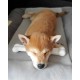Nylabone Dura Chicken Chew, Large Nylabone Dura Chicken Chew, Large