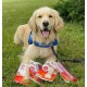 Nylabone Dura Original Chew, Large
