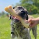 Nylabone Dura Original Chew, Large