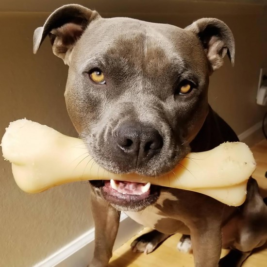 Nylabone Dura Original Chew, Large Nylabone Dura Original Chew, Large