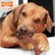 Nylabone Dura Power Chew, Bone Shape, Twin Pack with Bacon and Chicken Flavour, Medium Dogs (up to 16 kg), M 982903 Nylabone Dura Power Chew, Bone Shape, Twin Pack with Bacon and Chicken Flavour, Medium Dogs (up to 16 kg), M 982903