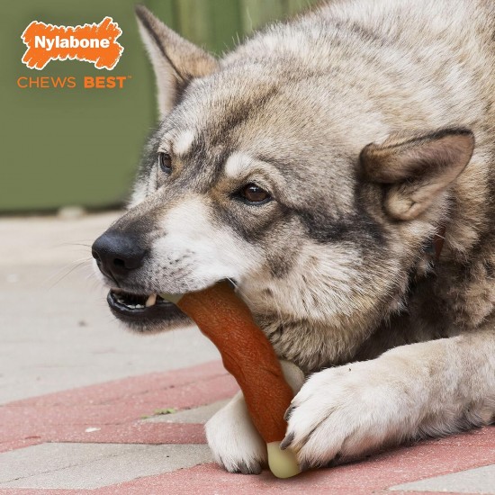 Nylabone Extreme Chew Beef Bone Dog Chew Nylabone Extreme Chew Beef Bone Dog Chew
