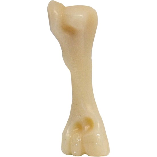 Nylabone Extreme Chew Beef Bone Dog Chew Nylabone Extreme Chew Beef Bone Dog Chew