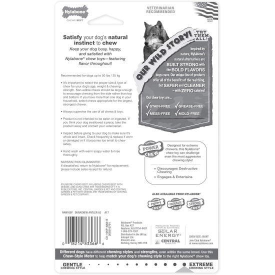 Nylabone Extreme Chew Beef Bone Dog Chew Nylabone Extreme Chew Beef Bone Dog Chew