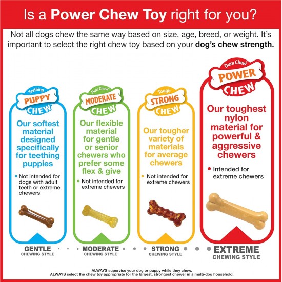 Nylabone Extreme Chew Beef Bone Dog Chew Nylabone Extreme Chew Beef Bone Dog Chew