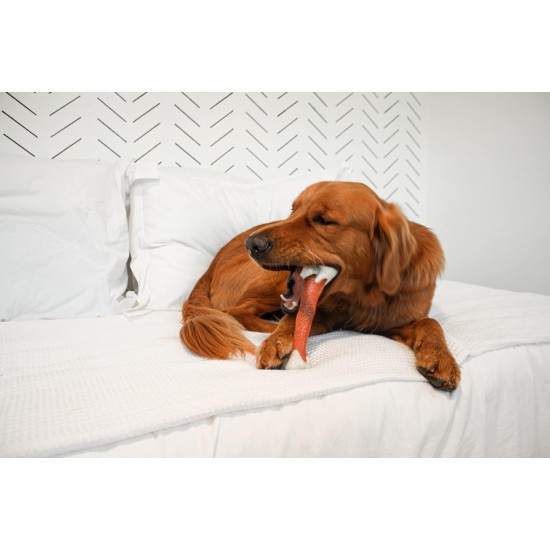 Nylabone Extreme Chew Femur Beef Flavour Dog Chew, 225 g Nylabone Extreme Chew Femur Beef Flavour Dog Chew, 225 g