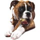 Nylabone Extreme Chew Femur Beef Flavour Dog Chew, 225 g Nylabone Extreme Chew Femur Beef Flavour Dog Chew, 225 g