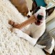 Nylabone Extreme Chew and Tooth Toy for Dogs, Dog Bones for Aggressive/Strong Chewing, Original Flavour, for Small Dogs up to 11 kg