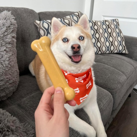 Nylabone Extreme Chew and Tooth Toy for Dogs, Dog Bones for Aggressive/Strong Chewing, Original Flavour, for Small Dogs up to 11 kg Nylabone Extreme Chew and Tooth Toy for Dogs, Dog Bones for Aggressive/Strong Chewing, Original Flavour, for Small Dogs up to 11 kg