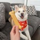 Nylabone Extreme Chew and Tooth Toy for Dogs, Dog Bones for Aggressive/Strong Chewing, Original Flavour, for Small Dogs up to 11 kg