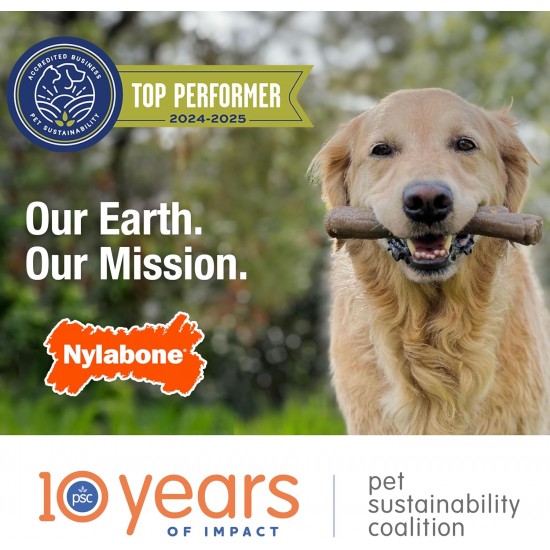Nylabone Extreme Chew and Tooth Toy for Dogs, Dog Bones for Aggressive/Strong Chewing, Original Flavour, for Small Dogs up to 11 kg Nylabone Extreme Chew and Tooth Toy for Dogs, Dog Bones for Aggressive/Strong Chewing, Original Flavour, for Small Dogs up to 11 kg