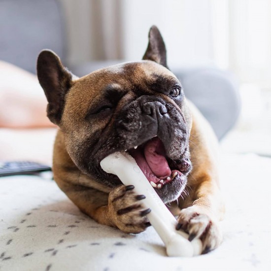 Nylabone Extreme Chew and Tooth Toy for Dogs, Dog Bones for Aggressive/Strong Chewing, Original Flavour, for Small Dogs up to 11 kg Nylabone Extreme Chew and Tooth Toy for Dogs, Dog Bones for Aggressive/Strong Chewing, Original Flavour, for Small Dogs up to 11 kg