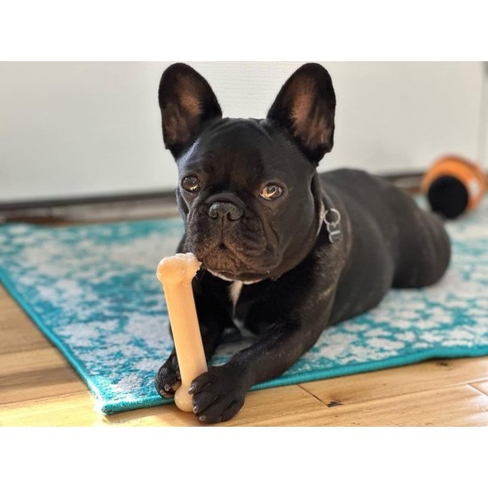 Nylabone Extreme Chew and Tooth Toy for Dogs, Dog Bones for Aggressive/Strong Chewing, Original Flavour, for Small Dogs up to 11 kg Nylabone Extreme Chew and Tooth Toy for Dogs, Dog Bones for Aggressive/Strong Chewing, Original Flavour, for Small Dogs up to 11 kg