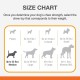 Nylabone, Extreme Dental Care Chew Toy for Dogs, Multi-Texture Chew Toy for Strong Chewing Dogs, for Dogs up to 11 kg Nylabone, Extreme Dental Care Chew Toy for Dogs, Multi-Texture Chew Toy for Strong Chewing Dogs, for Dogs up to 11 kg
