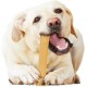 Nylabone Extreme Dog Chew and Teeth Toy Dog Bone Aggressive Strong Chewing Peanut Butter Flavour for Medium Dogs up to 16kg Nylabone Extreme Dog Chew and Teeth Toy Dog Bone Aggressive Strong Chewing Peanut Butter Flavour for Medium Dogs up to 16kg